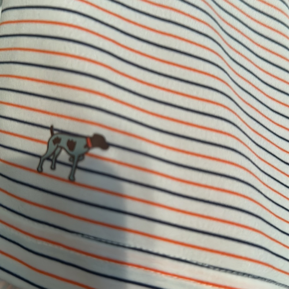Southern Point Polo - Picture 2 of 2